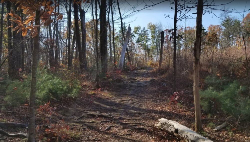 STRATHAM HILL PARK Updated September 2024 270 Portsmouth Ave