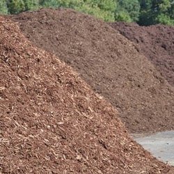 Bob Evans Mulch