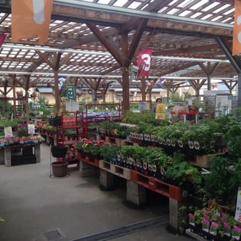 花いちばアズガーデン 11 Photos 大字三本木字金久48 海部郡 大治町 愛知県 Japan Yelp