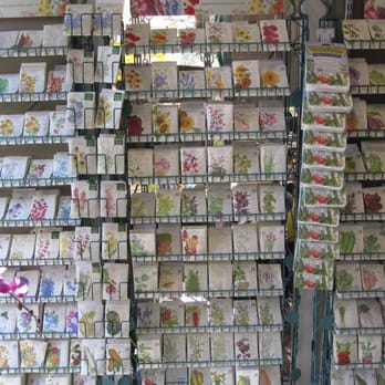 Buchanan's Native Plants - 1/2 the seed wall - Nurseries & Gardening Near Me - Houston, Texas