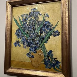Irises