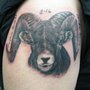 Photo of Ink Spot Tattoo