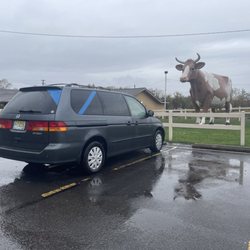 Wilkes Barres 309 Famous Brown Cow