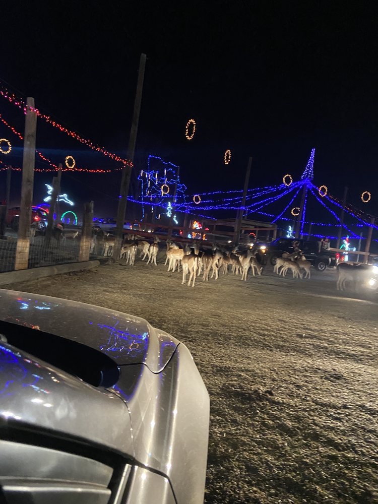 HOLLYWILD ANIMAL PRESERVE 69 Photos & 38 Reviews 2325 Hampton Rd