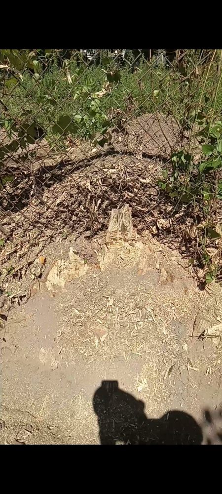 Slide of AP Servicios Generales