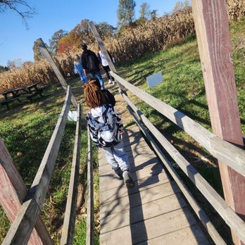 Hogan Farms Pumpkin Patch & Corn Maze - Pumpkin Patches Near Me - Brownsburg, Indiana Hogan Farms Pumpkin Patch & Corn Maze - Pumpkin Patches Near Me - Brownsburg, Indiana