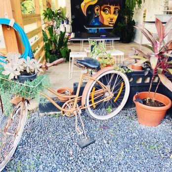 Blac Flamingo Coffee - Super cute decor - Coffee & Tea Near Me - Culebra, Puerto Rico
