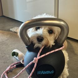 Matty Personal Training - Macy is a kettlebell specialist!
