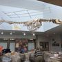 Photo of Hatfield Marine Science Center