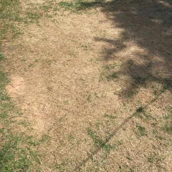 Arbor-Nomics Turf, Inc. Lawn Care Services & Grass Treatment - Dead lawn - Pest Control Near Me - Norcross, Georgia