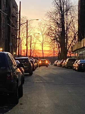 Fort Hamilton by null