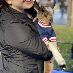 Cute & Cuddlee Mobile Petting Zoo