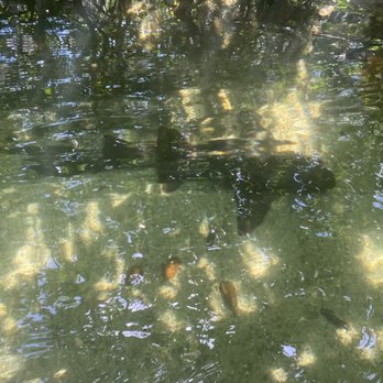 I Can See Clear Kayaking - Rafting/Kayaking Near Me - Islamorada, Florida I Can See Clear Kayaking - Rafting/Kayaking Near Me - Islamorada, Florida