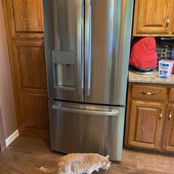 Lowe's Home Improvement - Refrigerator and a cat.
