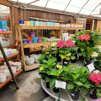 TLC Garden Centers - Nurseries & Gardening Near Me - Oklahoma City, Oklahoma TLC Garden Centers - Nurseries & Gardening Near Me - Oklahoma City, Oklahoma
