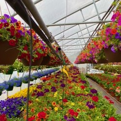 J & K's Four Seasons Floral and Greenhouse