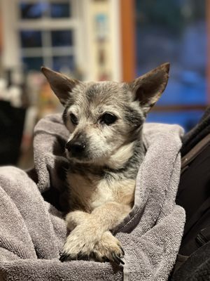 Joselito's Mexican Food Tujunga by null