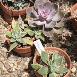Jordan Hall Greenhouse