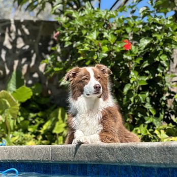 Aquatic Solutions - Pool & Hot Tub Service Near Me - Honolulu, Hawaii