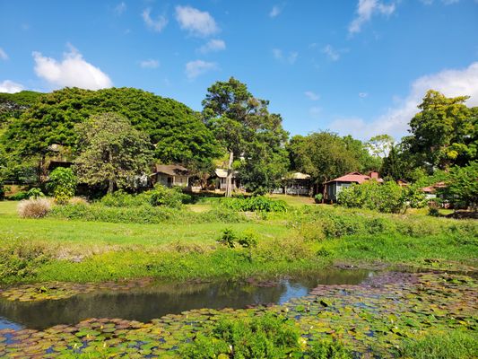 Hawaii's Plantation Village by null