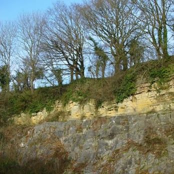 de la beche's unconformity - Arts & Entertainment Near Me - Frome, SOM