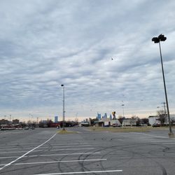 BJ's Wholesale Club - birds