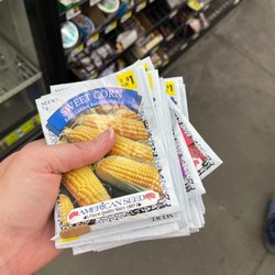 Dollar General - Seeds on sale for 12 cents a packet
