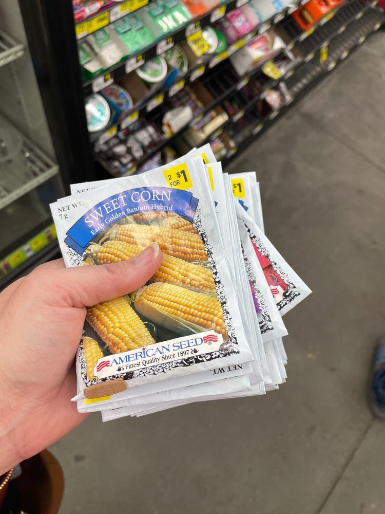 DOLLAR GENERAL Updated September 2024 230 Broad St, New Orleans