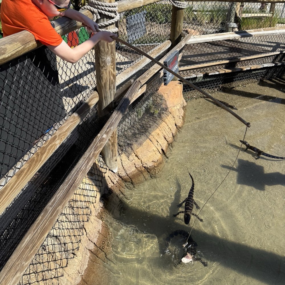 Congo River Golf - Mini Golf Near Me - Orlando, Florida Congo River Golf - Mini Golf Near Me - Orlando, Florida