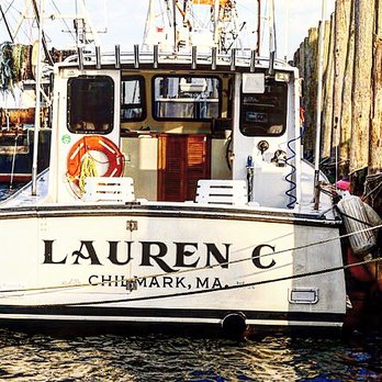 North Shore Charters Bass N Blue Menemsha - Fishing Near Me - Chilmark, Massachusetts North Shore Charters Bass N Blue Menemsha - Fishing Near Me - Chilmark, Massachusetts