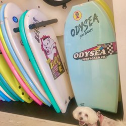 Catch Surf - Fendi wants a surf board
