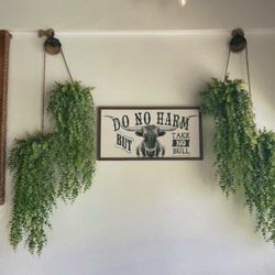 Old Town Nutrition - Welcoming greenery.