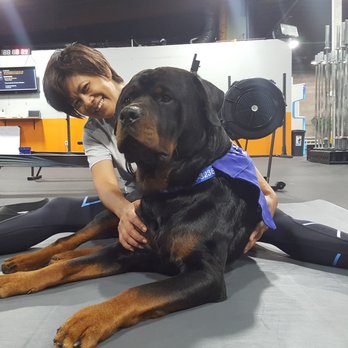 Genuine Strength - We are dog friendly! Bring your pup and let them meet everyone in our groups. - Trainers Near Me