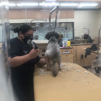 PetSmart - Pet Stores Near Me - San Jose, California