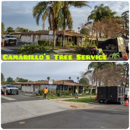 Exterior photo of Camarillos Tree Service Exterior photo of Camarillos Tree Service