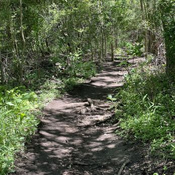 Spicewood Valley Trail - Hiking Near Me - Austin, Texas