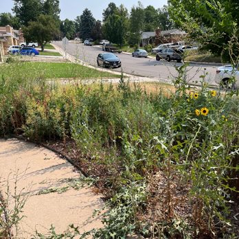 Custom Grey Concrete - Before walkway - Masonry/Concrete Near Me - Denver, Colorado