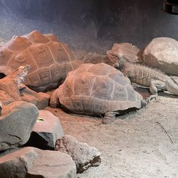 Riverside Reptiles Education Center