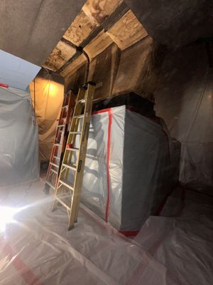 Chicago Asbestos & Mold Professionals on Yelp