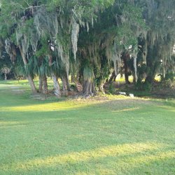River Run Golf Links - Tee shot not in the sh-t.. love the live moss hanging down