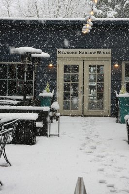 Newsome Harlow by null