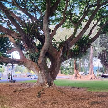 Liliuokalani Gardens - Parks Near Me - Hilo, Hawaii
