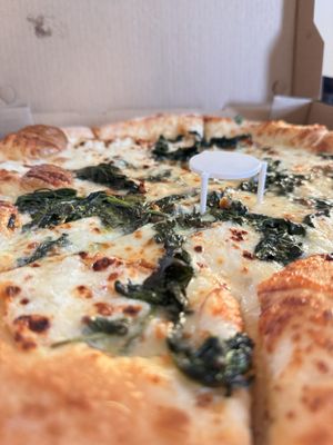 Piccini Italian Takeout by null