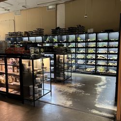 Twin Cities Reptiles