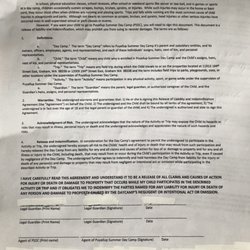 Required form saying they can neglect and harm my niece and I can't find them responsible