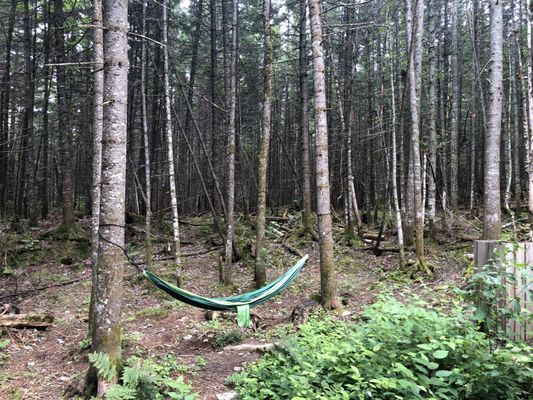 Centre de l'Hêtre by null