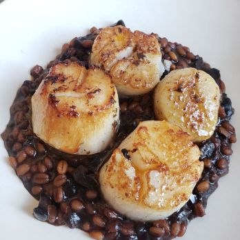 8282 - Scallops on the most amazing bed barley/blackbean/mushrooms. I could literally eat bowls of that barley. - Korean Near Me - New York, New York 8282 - Scallops on the most amazing bed barley/blackbean/mushrooms. I could literally eat bowls of that barley. - Korean Near Me - New York, New York
