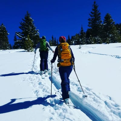 Paragon Guides by null