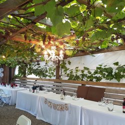 Gatzke Orchards - Dinner Reception head table