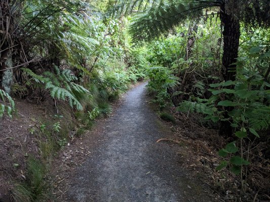 Wellington Botanic Garden by null